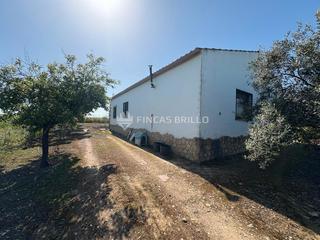 Finca rústica  Calle juan ramón jiménez. Un rincón de paz en torreorgaz – finca rústica de 5 hectáreas co Finca rústica  Calle juan ramón jiménez. Un rincón de paz en torreorgaz – finca rústica de 5 hectáreas co