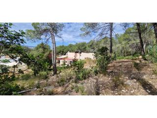 Masía  N/a. Finca autosuficiente con 2 viviendas independientes en san anton Masía  N/a. Finca autosuficiente con 2 viviendas independientes en san anton