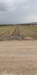 Terreny residencial a Campillo. Parcela en venta lorca Terreny residencial a Campillo. Parcela en venta lorca