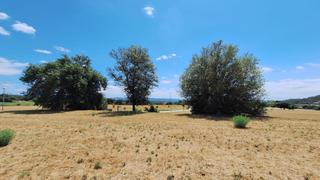 Residential Plot De la font Residential Plot De la font