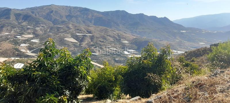 Foto 536f7494-52b3-4946-be79-31a4e9960f6a. Finca rústica a Ítrabo Foto 536f7494-52b3-4946-be79-31a4e9960f6a. Finca rústica a Ítrabo