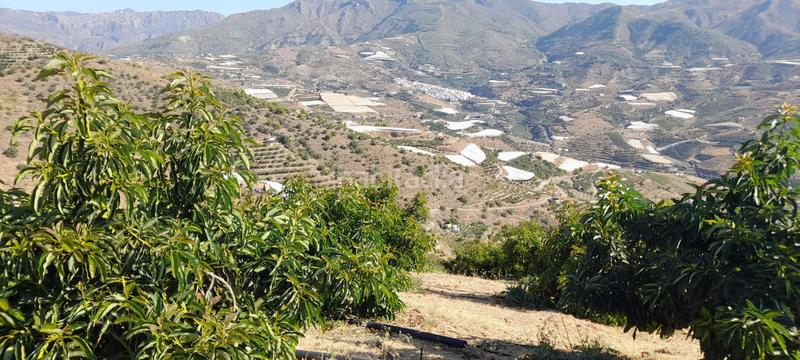 Foto 8af3d4bd-e536-47a0-b8ae-f137f4e05830. Finca rústica a Ítrabo Foto 8af3d4bd-e536-47a0-b8ae-f137f4e05830. Finca rústica a Ítrabo