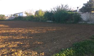 Terreny residencial a Los Gallos. Parcela indivisa con otra mas de 1.250 m camino del camping. Terreny residencial a Los Gallos. Parcela indivisa con otra mas de 1.250 m camino del camping.