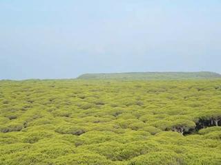 Bauernhof  Urb. doña petra. Casa campo vieja  en parcela de 1.800 m , las nueva suerte chicl Bauernhof  Urb. doña petra. Casa campo vieja  en parcela de 1.800 m , las nueva suerte chicl
