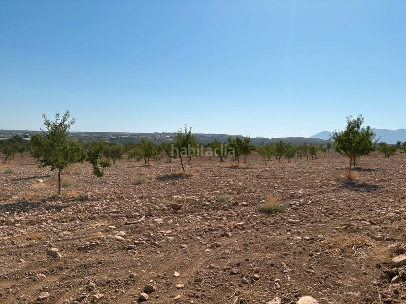 Foto 683a4574-d5b1-4c0a-8442-8a67bd4ea513. Finca rústica a calle a 1 a Cuevas del Campo Foto 683a4574-d5b1-4c0a-8442-8a67bd4ea513. Finca rústica a calle a 1 a Cuevas del Campo