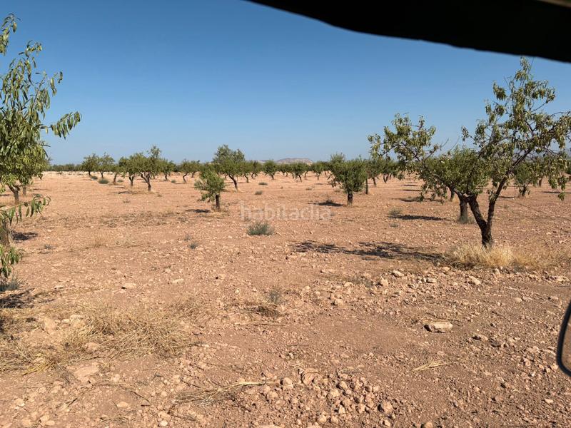 Foto c98dae1c-7c1b-414e-ad99-a91445c8295f. Finca rústica a calle a 1 a Cuevas del Campo Foto c98dae1c-7c1b-414e-ad99-a91445c8295f. Finca rústica a calle a 1 a Cuevas del Campo