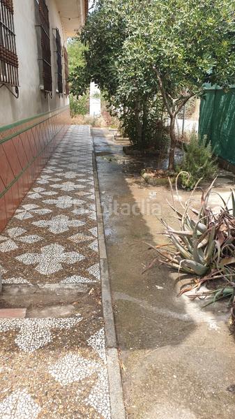 Foto 13bc8448-7336-4eb6-8b92-fd8665ac54e7. Chalet magnifico chalet en la hermandad, coria del rio en Coria del Río Foto 13bc8448-7336-4eb6-8b92-fd8665ac54e7. Chalet magnifico chalet en la hermandad, coria del rio en Coria del Río