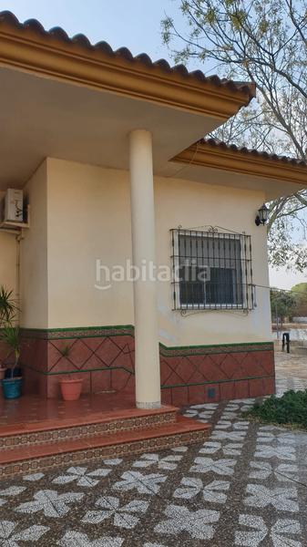 Foto 64b854e0-e088-434f-b9dc-a707b1b57af9. Chalet magnifico chalet en la hermandad, coria del rio en Coria del Río Foto 64b854e0-e088-434f-b9dc-a707b1b57af9. Chalet magnifico chalet en la hermandad, coria del rio en Coria del Río