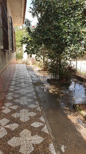 Foto 8831b27c-94eb-49dd-80f7-916f9be0e97f. Chalet magnifico chalet en la hermandad, coria del rio en Coria del Río Foto 8831b27c-94eb-49dd-80f7-916f9be0e97f. Chalet magnifico chalet en la hermandad, coria del rio en Coria del Río