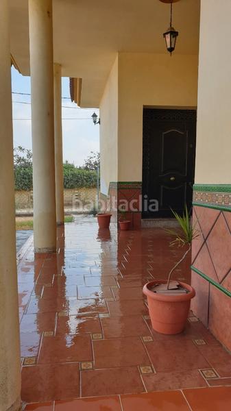 Foto 93d1d55b-2eb8-4731-a98e-cdbb9cd020ab. Chalet magnifico chalet en la hermandad, coria del rio en Coria del Río Foto 93d1d55b-2eb8-4731-a98e-cdbb9cd020ab. Chalet magnifico chalet en la hermandad, coria del rio en Coria del Río