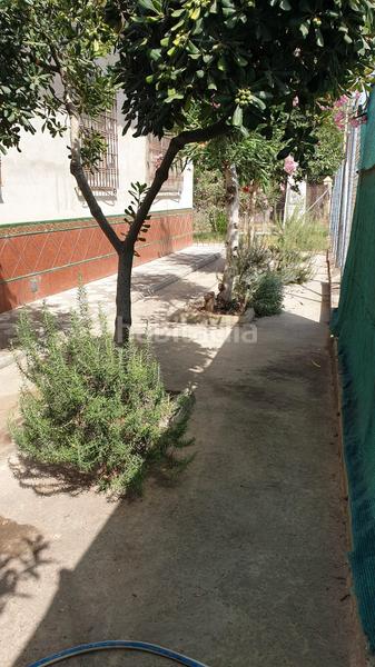 Foto ae20e2ab-8f29-481e-80d6-b88f69bb1a75. Chalet magnifico chalet en la hermandad, coria del rio en Coria del Río Foto ae20e2ab-8f29-481e-80d6-b88f69bb1a75. Chalet magnifico chalet en la hermandad, coria del rio en Coria del Río