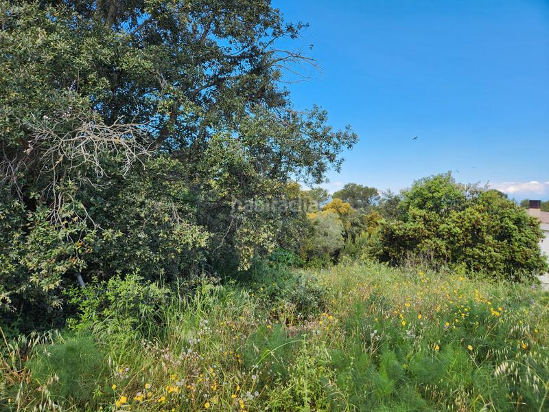 Foto 75300a57-387c-4ec1-80e6-9d351ff522d9. Wohngrundstück in carrer olivar de can pou 4 in Pals Foto 75300a57-387c-4ec1-80e6-9d351ff522d9. Wohngrundstück in carrer olivar de can pou 4 in Pals