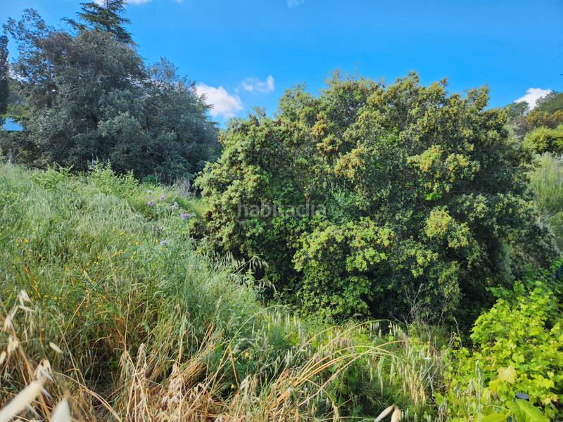 Foto 906715d3-c134-4995-a59c-c9b5d00b71c2. Wohngrundstück in carrer olivar de can pou 4 in Pals Foto 906715d3-c134-4995-a59c-c9b5d00b71c2. Wohngrundstück in carrer olivar de can pou 4 in Pals