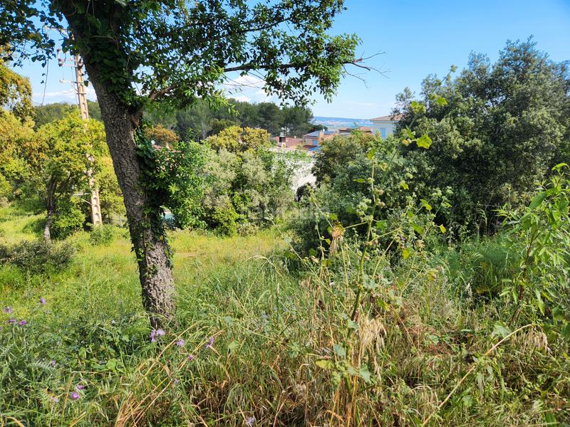 Foto c5812318-de57-4913-85e5-a77a86f566b0. Wohngrundstück in carrer olivar de can pou 4 in Pals Foto c5812318-de57-4913-85e5-a77a86f566b0. Wohngrundstück in carrer olivar de can pou 4 in Pals