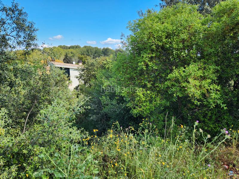 Foto e3f096d7-449a-4766-ae46-902ef705efd6. Wohngrundstück in carrer olivar de can pou 4 in Pals Foto e3f096d7-449a-4766-ae46-902ef705efd6. Wohngrundstück in carrer olivar de can pou 4 in Pals