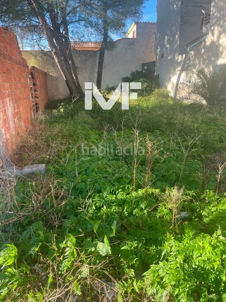 Foto f1b310fe-d0c0-4872-9b7f-034afe854d52. Terreny residencial a Centre Miami Platja Foto f1b310fe-d0c0-4872-9b7f-034afe854d52. Terreny residencial a Centre Miami Platja