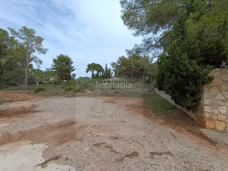 Foto 76dbe94a-2ec2-4c89-b3d0-cec5db69ff25. Terreny residencial a Los Pinares-La Masia Bétera Foto 76dbe94a-2ec2-4c89-b3d0-cec5db69ff25. Terreny residencial a Los Pinares-La Masia Bétera