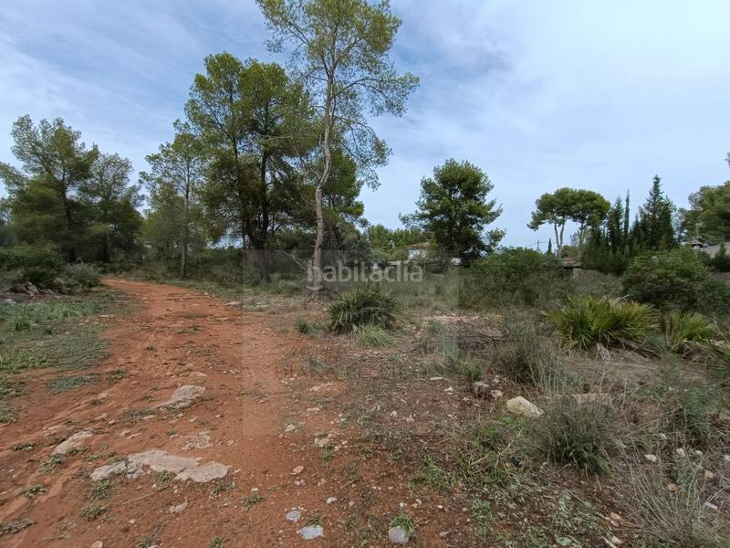 Foto 9e8170cc-bfa0-4da1-9dc1-6cdfa413434d. Terreny residencial a Los Pinares-La Masia Bétera Foto 9e8170cc-bfa0-4da1-9dc1-6cdfa413434d. Terreny residencial a Los Pinares-La Masia Bétera