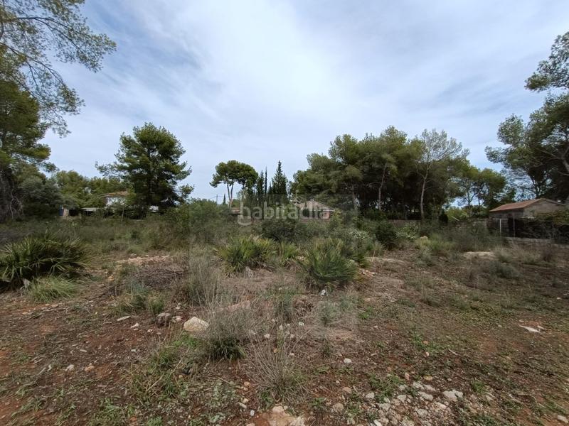 Foto ab6d21a7-ec00-4568-a7a1-ba9c7f750bf5. Terreny residencial a Los Pinares-La Masia Bétera Foto ab6d21a7-ec00-4568-a7a1-ba9c7f750bf5. Terreny residencial a Los Pinares-La Masia Bétera