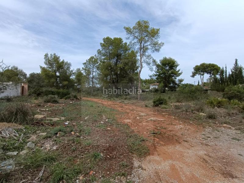 Foto af2ba6fd-e9eb-433b-86b4-ac04a6f3b508. Terreny residencial a Los Pinares-La Masia Bétera Foto af2ba6fd-e9eb-433b-86b4-ac04a6f3b508. Terreny residencial a Los Pinares-La Masia Bétera