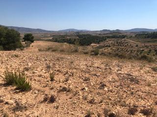Terrain résidentiel à Zarza (La). Esta excepcional parcela de terreno se encuentra en una zona int Terrain résidentiel à Zarza (La). Esta excepcional parcela de terreno se encuentra en una zona int