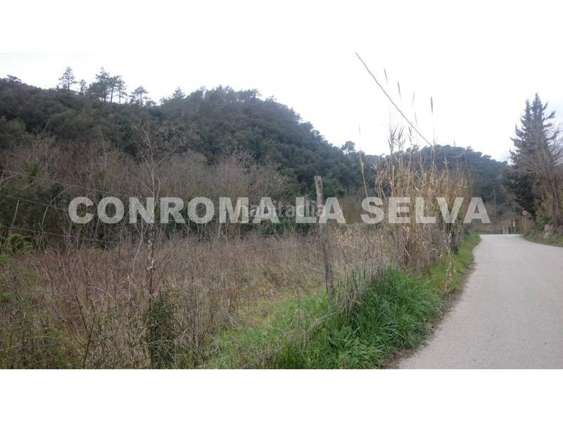 Foto 65361b53-e2a9-45d0-add0-fc16fb172037. Masia amb aparcament a Tordera Tordera Foto 65361b53-e2a9-45d0-add0-fc16fb172037. Masia amb aparcament a Tordera Tordera