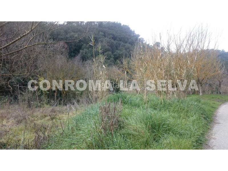 Foto 9bbd61b4-cc7f-404f-9c1f-9f7e5f819da7. Masia amb aparcament a Tordera Tordera Foto 9bbd61b4-cc7f-404f-9c1f-9f7e5f819da7. Masia amb aparcament a Tordera Tordera