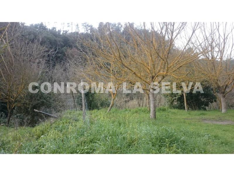 Foto c2ec1258-5199-4569-90ea-baf4da838cdd. Masia amb aparcament a Tordera Tordera Foto c2ec1258-5199-4569-90ea-baf4da838cdd. Masia amb aparcament a Tordera Tordera