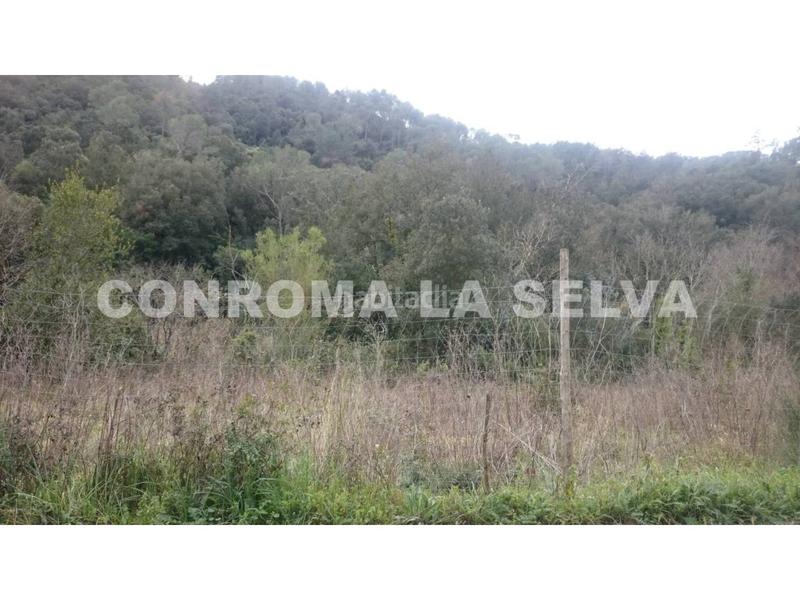 Foto c45f9b8d-1e1c-4379-a7d3-a8c6ae2fdc62. Masia amb aparcament a Tordera Tordera Foto c45f9b8d-1e1c-4379-a7d3-a8c6ae2fdc62. Masia amb aparcament a Tordera Tordera