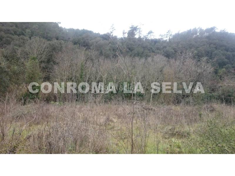 Foto f8a7dc19-f028-4e90-9fdb-cd9bb785f4ab. Masia amb aparcament a Tordera Tordera Foto f8a7dc19-f028-4e90-9fdb-cd9bb785f4ab. Masia amb aparcament a Tordera Tordera