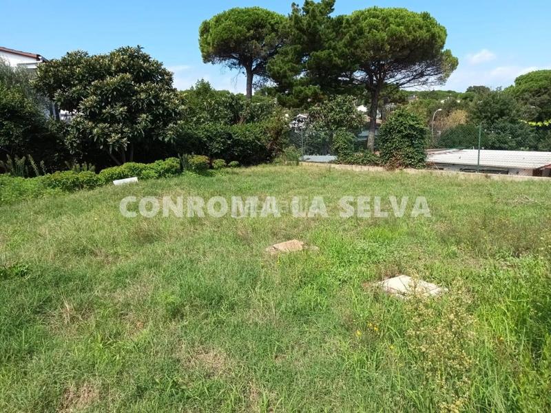 Foto 1f8167ef-4b28-475a-8806-aa776c5dcd79. Casa in Niàgara Parc -Àgora Parc Tordera Foto 1f8167ef-4b28-475a-8806-aa776c5dcd79. Casa in Niàgara Parc -Àgora Parc Tordera