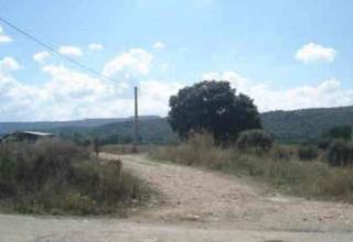 Finca rústica Camino. Solvia inmobiliaria suelo otros espinosa de henares Finca rústica Camino. Solvia inmobiliaria suelo otros espinosa de henares