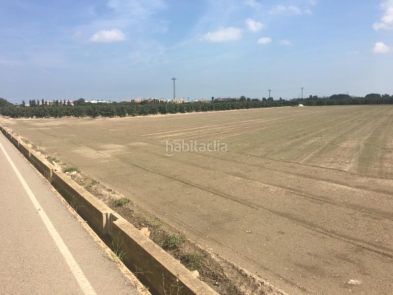 Foto 0ad593d2-54c9-43ba-be4c-cdd718cb4a79. Finca rústica solvia inmobiliaria suelo rústico en Sollana Foto 0ad593d2-54c9-43ba-be4c-cdd718cb4a79. Finca rústica solvia inmobiliaria suelo rústico en Sollana