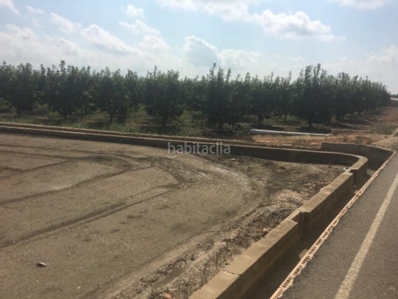 Foto e44fc4a1-fd09-4edc-8b08-a77fade4fffe. Finca rústica solvia inmobiliaria suelo rústico en Sollana Foto e44fc4a1-fd09-4edc-8b08-a77fade4fffe. Finca rústica solvia inmobiliaria suelo rústico en Sollana