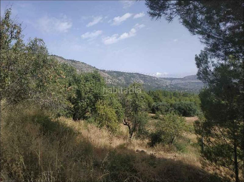 Foto 2b256bc1-d0a5-4e27-93b4-f94ff58a05f6. Finca rústica solvia inmobiliaria suelo otros en Cocentaina Foto 2b256bc1-d0a5-4e27-93b4-f94ff58a05f6. Finca rústica solvia inmobiliaria suelo otros en Cocentaina