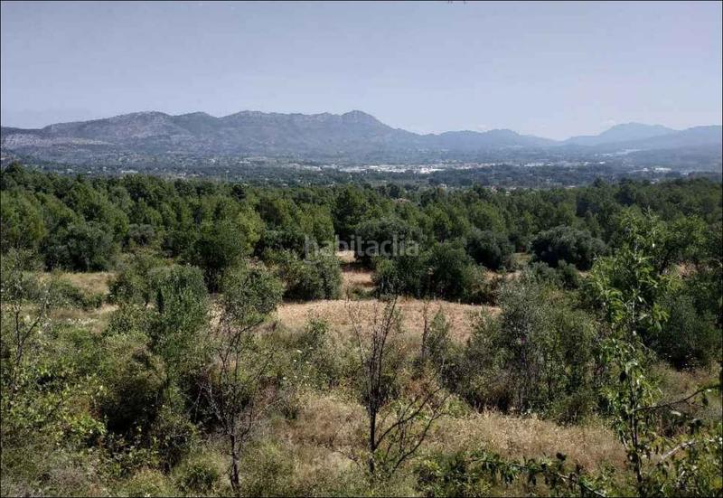 Foto fe181730-4de4-4d3b-9386-73616c72f26a. Finca rústica solvia inmobiliaria suelo otros en Cocentaina Foto fe181730-4de4-4d3b-9386-73616c72f26a. Finca rústica solvia inmobiliaria suelo otros en Cocentaina