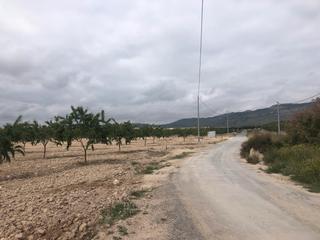 Finca rústica Pj los cabezones. Solvia inmobiliaria terreno con edificación mula Finca rústica Pj los cabezones. Solvia inmobiliaria terreno con edificación mula