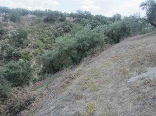 Finca rústica Pj/ llanos de rueda. Solvia inmobiliaria suelo otros almedinilla Finca rústica Pj/ llanos de rueda. Solvia inmobiliaria suelo otros almedinilla