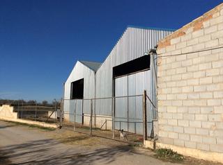 Bâtiment à usage industriel Pol ganadero, pago de retamar. Solvia inmobiliaria nave industrial cuevas del campo Bâtiment à usage industriel Pol ganadero, pago de retamar. Solvia inmobiliaria nave industrial cuevas del campo
