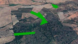 Finca rústica C/ mimbrera. Solvia inmobiliaria suelo rústico chiclana de segura Finca rústica C/ mimbrera. Solvia inmobiliaria suelo rústico chiclana de segura