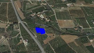 Finca rústica C/ genovés. Solvia inmobiliaria suelo rústico genovés Finca rústica C/ genovés. Solvia inmobiliaria suelo rústico genovés