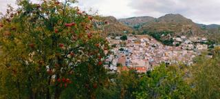 Finca rústica a Camino diseminado. Un paraíso natural entre olivos, granados, almendros e higueras Finca rústica a Camino diseminado. Un paraíso natural entre olivos, granados, almendros e higueras