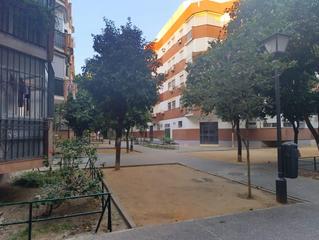 Appartement  Brda nuestra señora de la oliva. Piso totalmente reformado en la bda. de la oliva Appartement  Brda nuestra señora de la oliva. Piso totalmente reformado en la bda. de la oliva