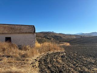 Terreny residencial a Almogía. Terreno rústico en venta  álora, málaga Terreny residencial a Almogía. Terreno rústico en venta  álora, málaga