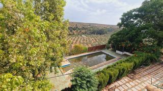 Finca rústica a Diseminado diseminados 1452. Preciosa finca con casa, olivos y frutales junto al molino la na Finca rústica a Diseminado diseminados 1452. Preciosa finca con casa, olivos y frutales junto al molino la na