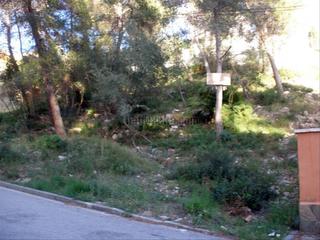 Terreny residencial a Carrer del duc 19 Terreny residencial a Carrer del duc 19