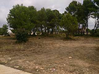 Terreno residencial en Carrer cami dels muntanyesos, sn. Parcelas en venta en torre residencial Terreno residencial en Carrer cami dels muntanyesos, sn. Parcelas en venta en torre residencial