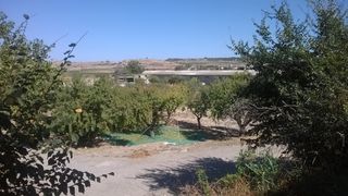 Alquiler Solar urbano en Carrer de sant sebastia, s/n. Finca urbana de + 6000m Alquiler Solar urbano en Carrer de sant sebastia, s/n. Finca urbana de + 6000m