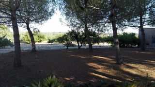 Masía en Partida massos.,. Finca con casa de piedra en la secuita Masía en Partida massos.,. Finca con casa de piedra en la secuita