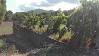 Fondo rustico in Urbanització can gurri,. Venta finca Fondo rustico in Urbanització can gurri,. Venta finca